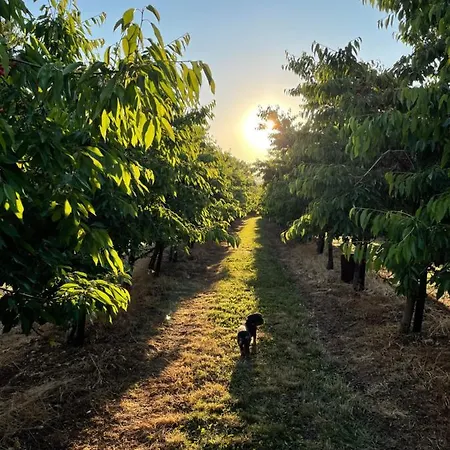 Gemuetliche Mit Kamin