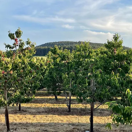 Gemuetliche Mit Kamin Stadtilm