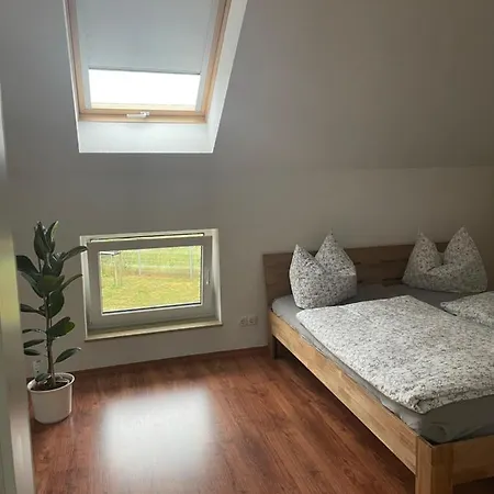 Gemuetliche Mit Kamin Apartment Stadtilm