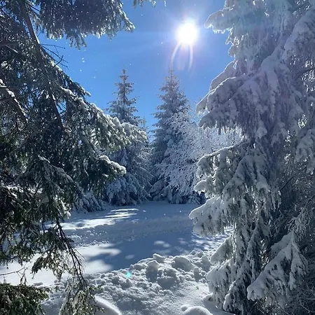 Gemuetliche Mit Kamin Apartmán