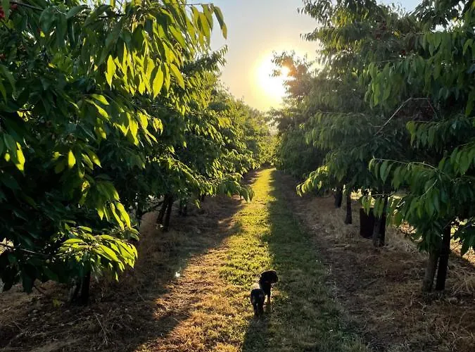 Gemuetliche Mit Kamin