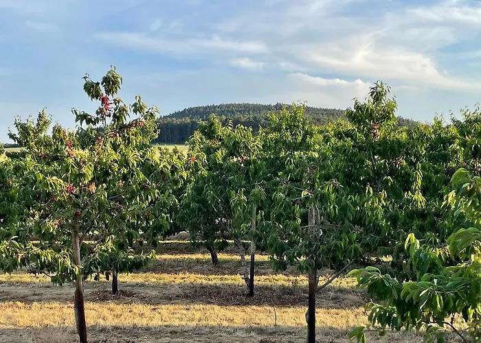 Gemuetliche Mit Kamin Stadtilm