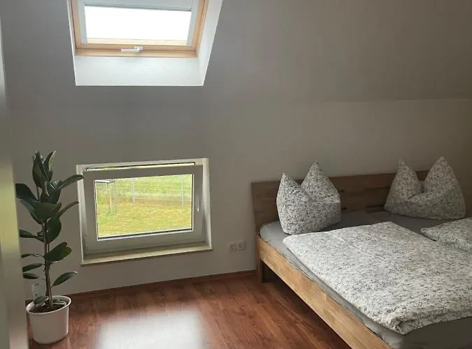 Gemuetliche Mit Kamin Apartment Stadtilm