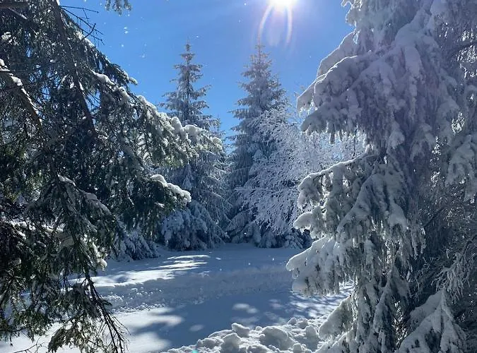 Gemuetliche Mit Kamin Apartment